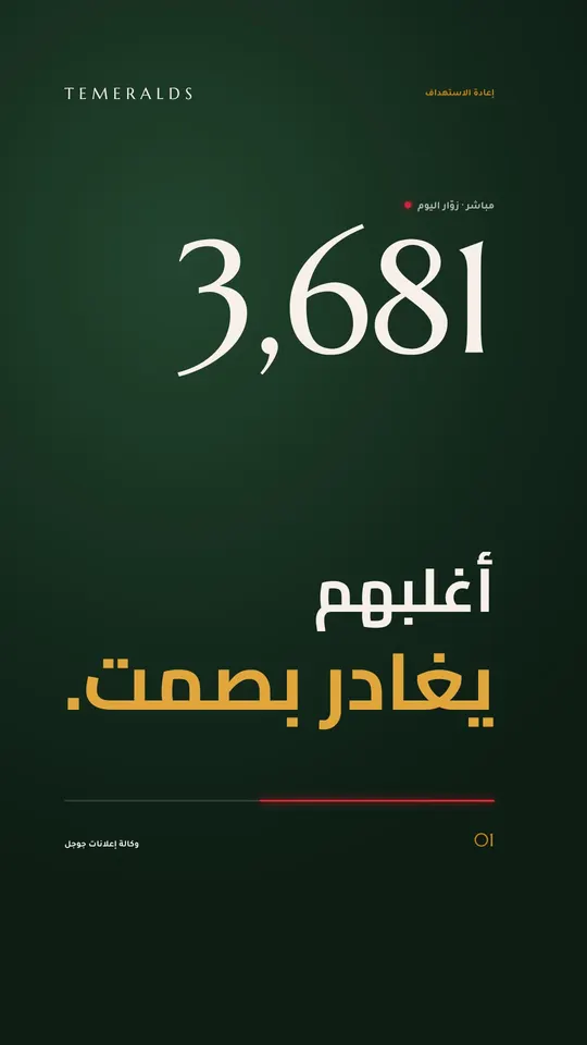 إعادة الاستهداف — تاميرالدز