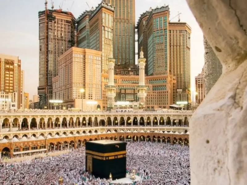 حملات باقات العمرة — استهداف موسمي | تاميرالدز