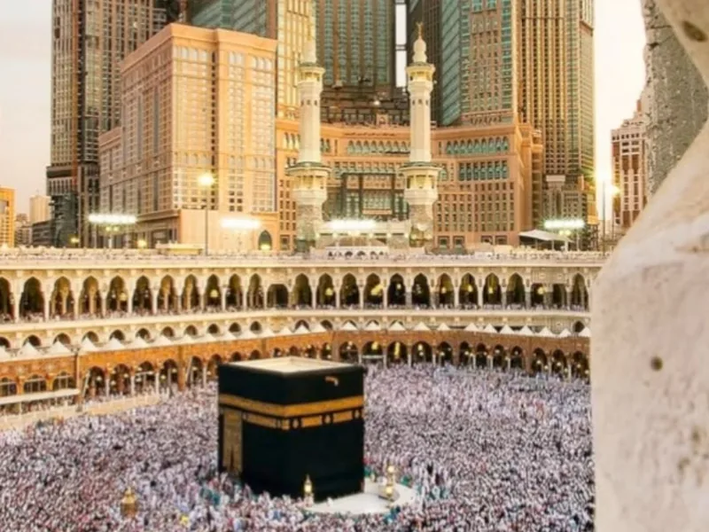 حملات خدمات النقل للمعتمرين | تاميرالدز